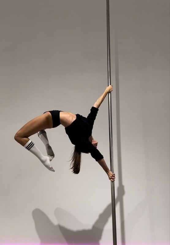 Dance Pole Kit, Professional 45mm Spinning & Static Dancing Pole Heavy-Duty, gallery