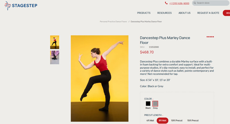Stagestep foam-backed Dance or Yoga Studio Flooring/Mat -Excellent Condition! gallery