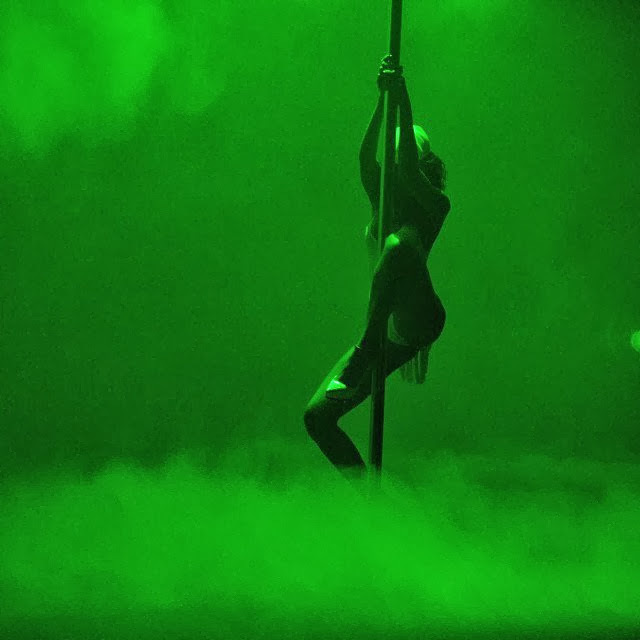___________ Stripper Pole LIGHTING ___________ Dance Exercise Spinning Room LED